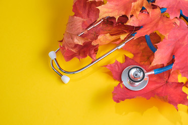 Similar image 21101830