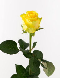 Similar image 21106869