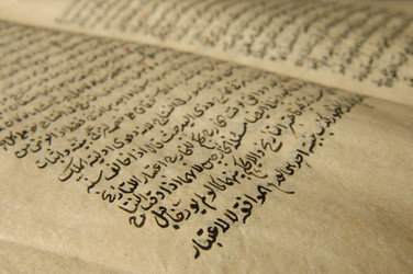 Similar image 21105546