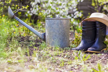 Similar image 21111437