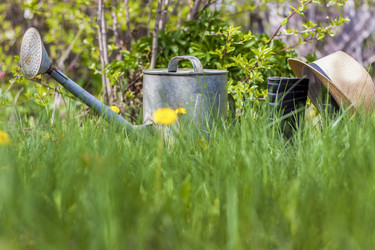 Similar image 21111439