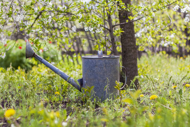 Similar image 21111443