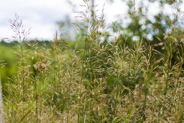 Similar image 21111459