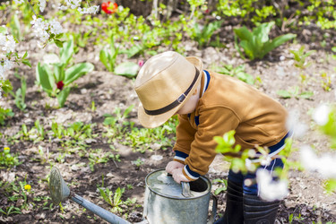 Similar image 21116929