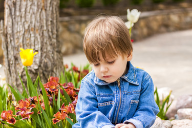 Similar image 21116933