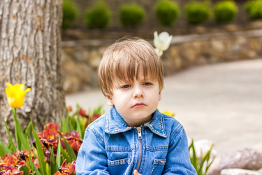 Similar image 21116934