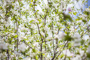 Similar image 21111461