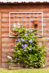 Similar image 21111480