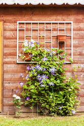 Similar image 21111495