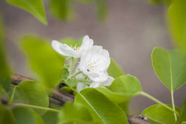 Similar image 21111501