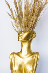 Similar image 21111509