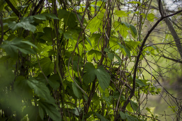 Similar image 21111510