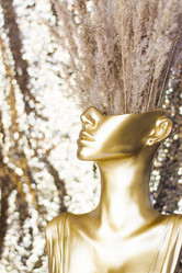 Similar image 21111515