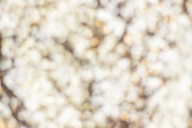 Similar image 21111519