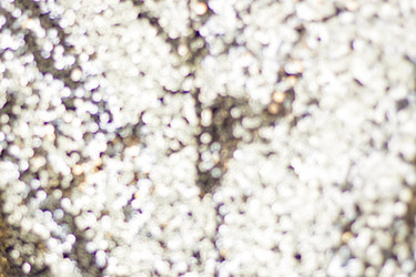 Similar image 21111521