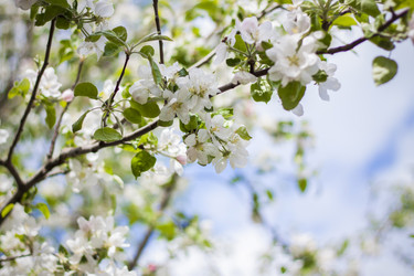 Similar image 21111445