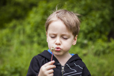 Similar image 21109528