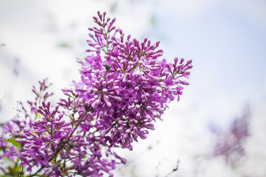 Similar image 21111472