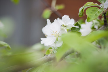 Similar image 21111482