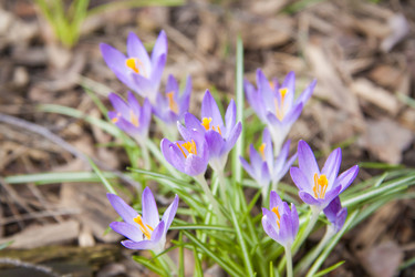 Similar image 21111486