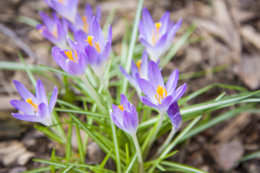 Similar image 21111487