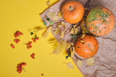 Similar image 21101878