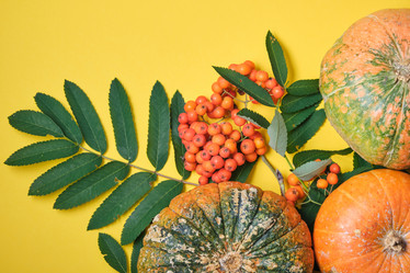 Similar image 21102076