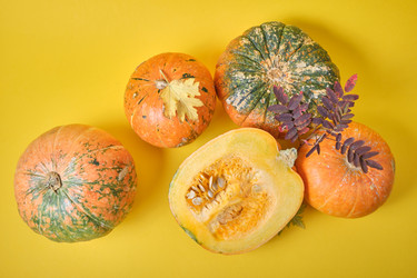 Similar image 21102077