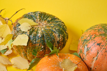 Similar image 21102081