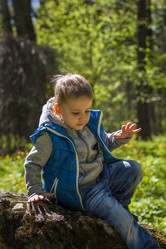 Similar image 21110636