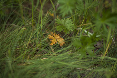 Similar image 21111489