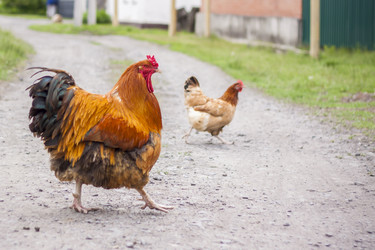 Similar image 21111491