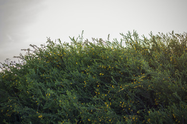 Similar image 21111494