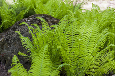 Similar image 21111522