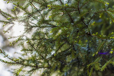 Similar image 21111523