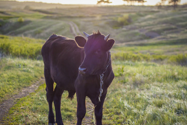 Similar image 21111524