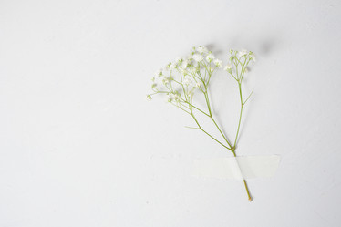 Similar image 21102143