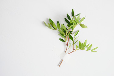 Similar image 21102147