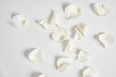 Similar image 21102149