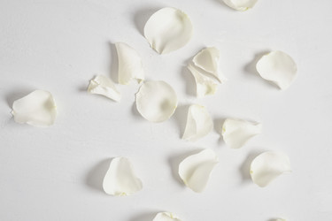 Similar image 21102155