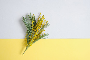 Similar image 21102159