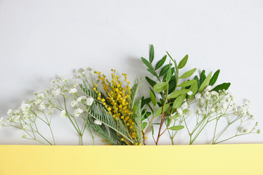 Similar image 21102161