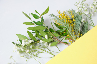 Similar image 21102163