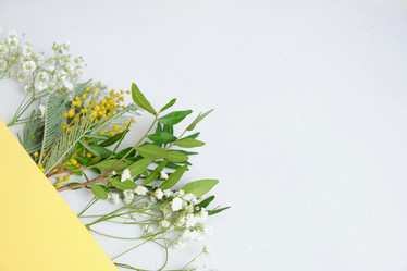 Similar image 21102169