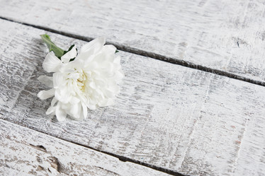 Similar image 21102173