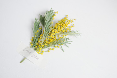 Similar image 21102177