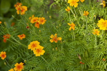 Similar image 21083204