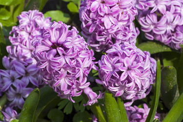 Similar image 21081523