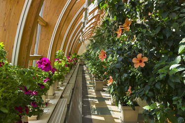 Similar image 21081526