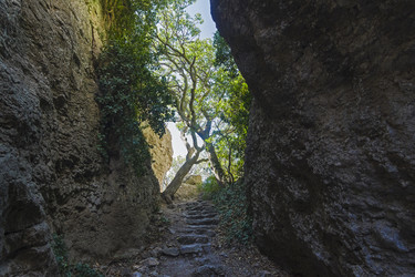 Similar image 21081529